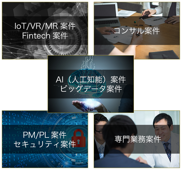 AI（人工知能）案件、ビックデータ案件、IoT/VR/MR案件、Fintech案件、コンサル案件、PM/PL案件、セキュリティ案件、専門業務案件